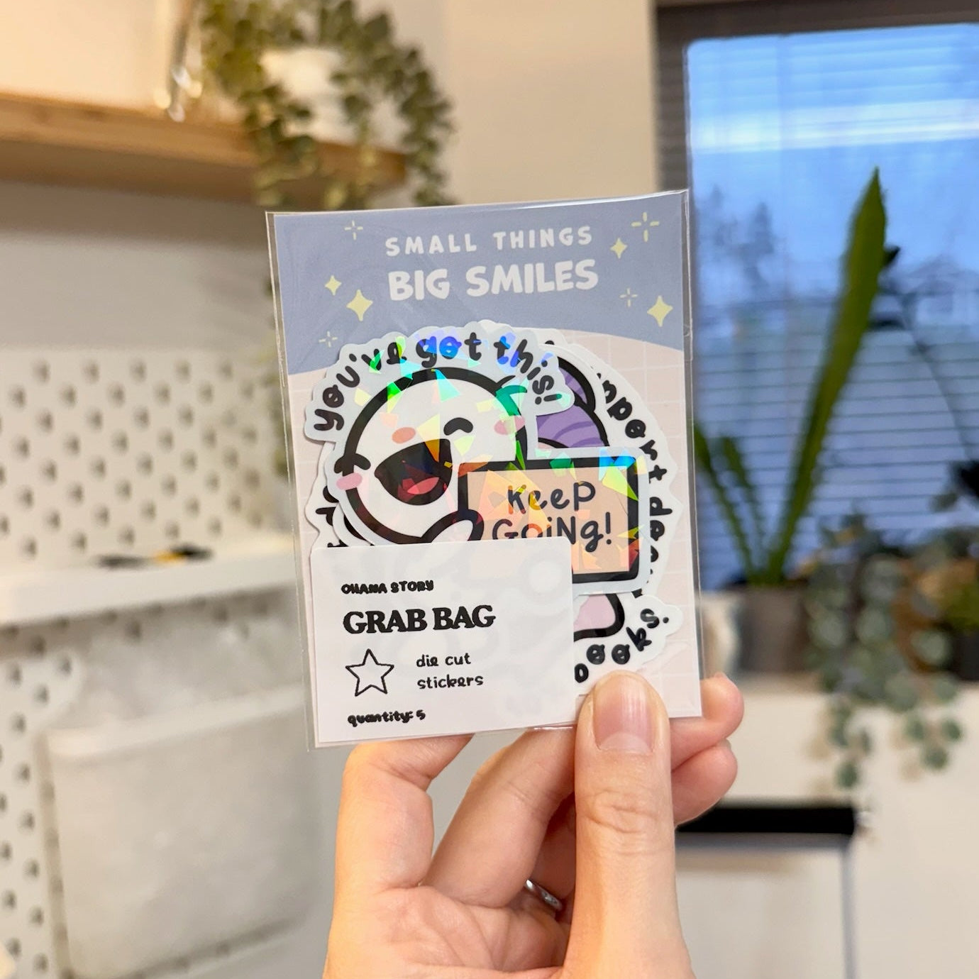 Vinyl Die Cut Stickers Grab Bag - Set of 5